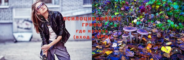 мескалин Дмитровск