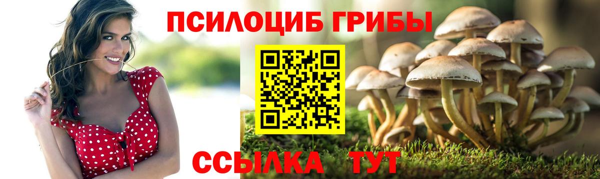 Елизово  Галлюциногенные грибы ЛСД  Вход с VPN  Галлюциногенные грибы мицелий 